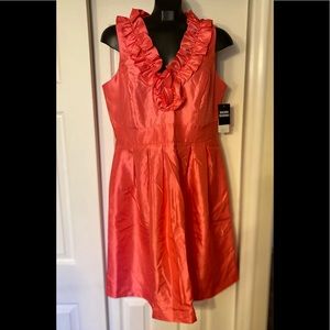 NWT Sandra Darren Dress - Size 14